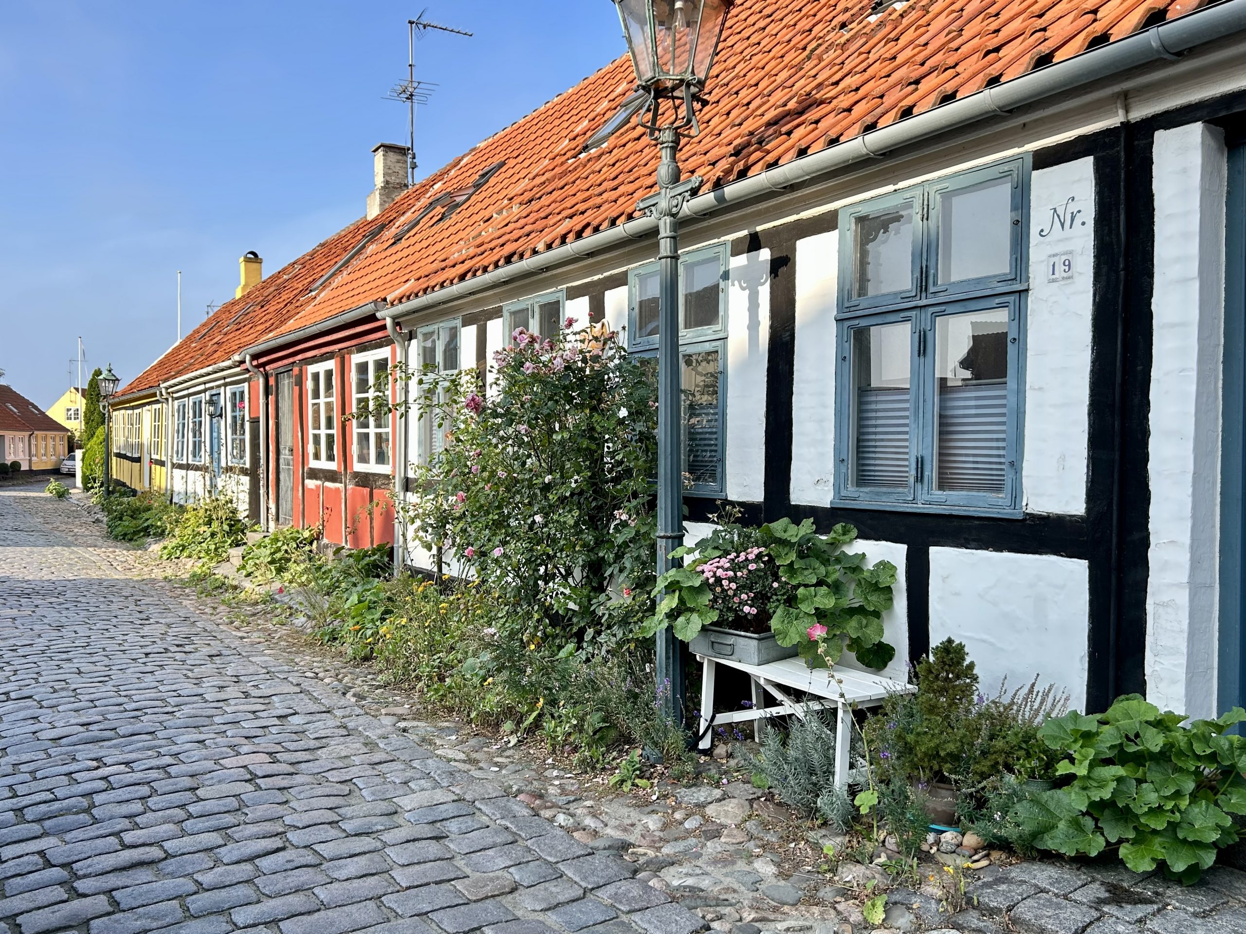 Felsen, Feigen & Räucherfisch (Bornholm, Teil eins)